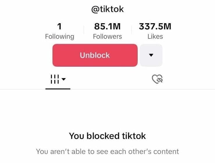 blocked tiktok